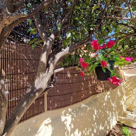 La Maddalena Holiday Home Esterno foto