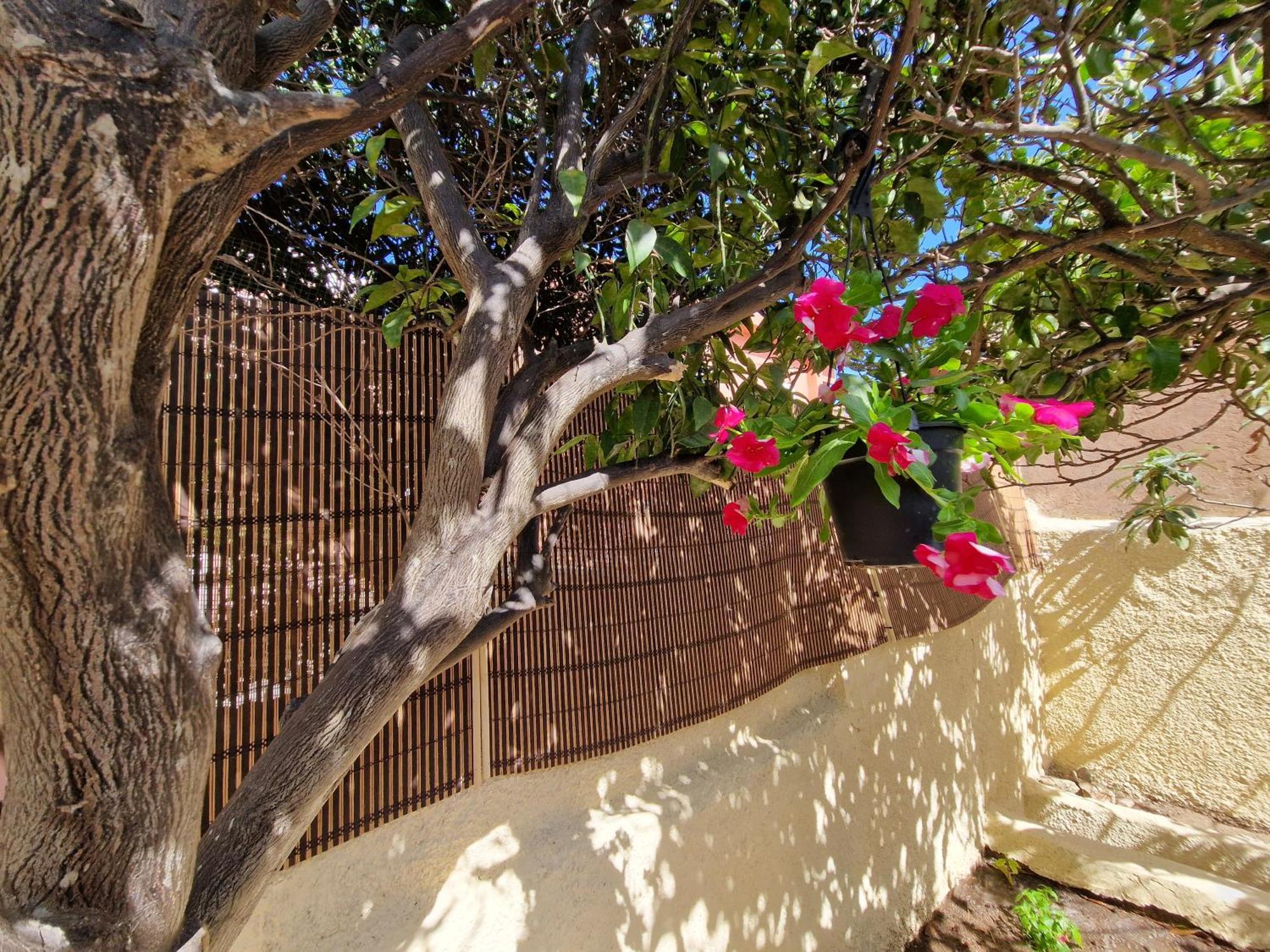 La Maddalena Holiday Home Esterno foto